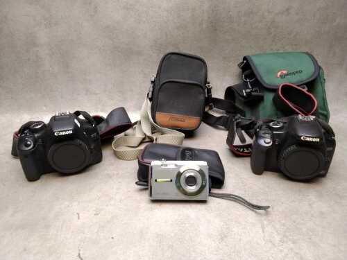 Olympus digital camera and two Canon camera bodies