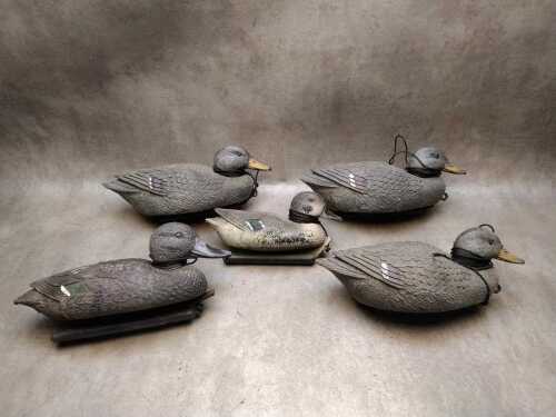 Five Italian Sport Plast plastic decoy ducks