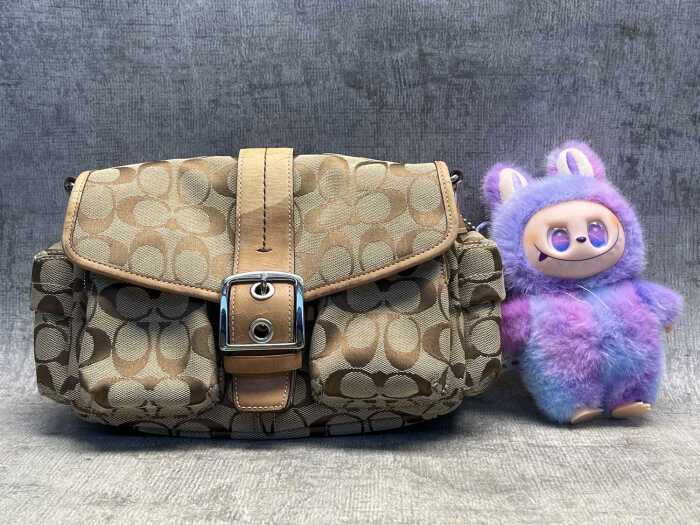 Coach handbag & Pop Mart labubu