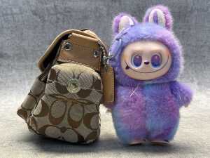 Coach handbag & Pop Mart labubu - 3
