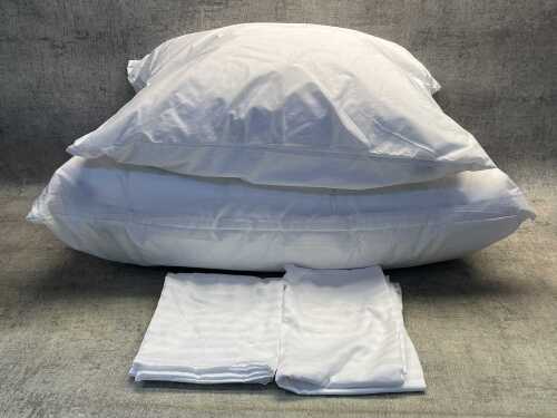 Two Elegante pillows & cases