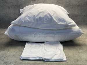 Two Elegante pillows & cases