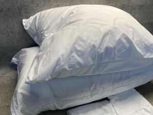 Two Elegante pillows & cases - 2