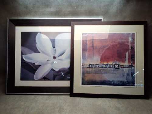 Two framed prints, including abstract design and magnolia