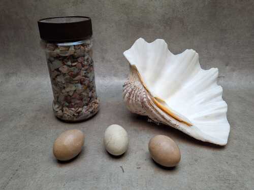 Specimens including opal