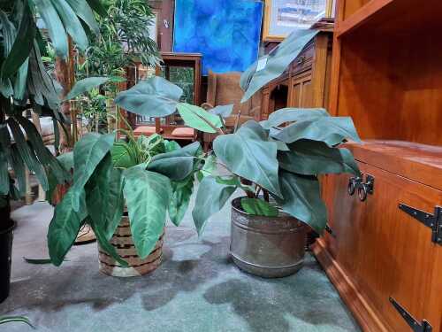 Two potted faux plants