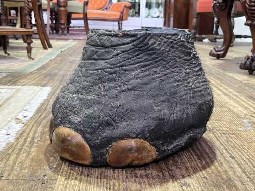 Vintage taxidermy elephant's foot