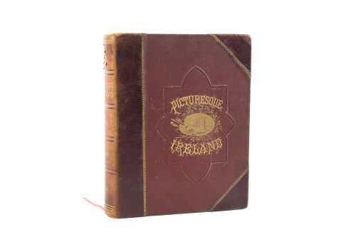 Antique 'Picturesque Ireland' embossed leatherbound book