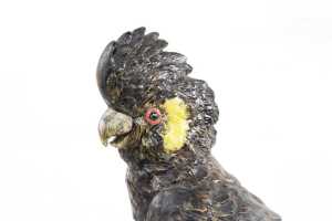 Goode Ceramic's handmade Yellow-tailed black Cockatoo figure - 2