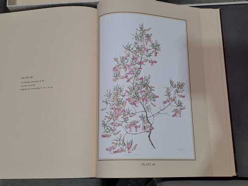 Limited edition 'Flowering Plants of the Eastern Goldfields of Western Australia' 1983 folio book