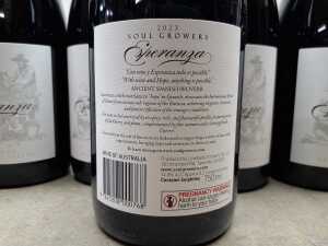 Esperanza Shiraz 2023, six bottles - 2