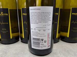 Pauletts Antonina 2024 Riesling, six bottles - 2