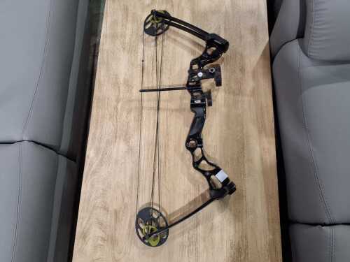 Apex Hunting bow
