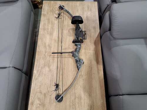 Darton compound bow with carry bag