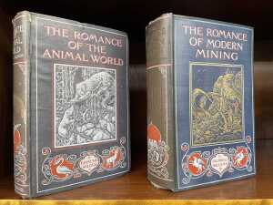 12 volumes of The Library of Romance - 2