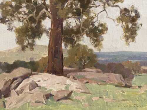 Charles Arthur Wheeler (1880-1977), Australian landscape. Oil painting on board