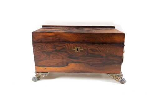 Regency rosewood sarcophagus form tea caddy