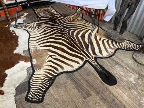 Zebra skin rug