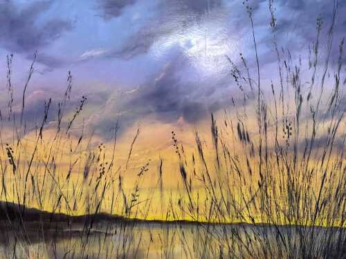 Rose Knight, sunset with reeds