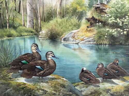 Deidre Lynette Hunt (1939-), Black Ducks