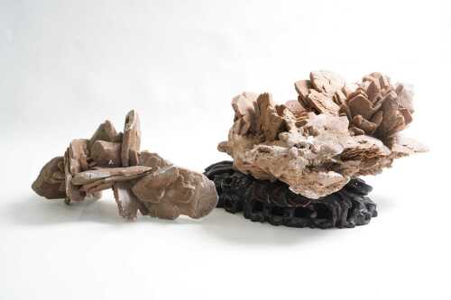 A gypsum desert rose crystal cluster on carved timber base