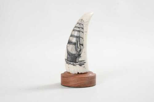 Vintage scrimshaw whale's tooth with tall ship portrait